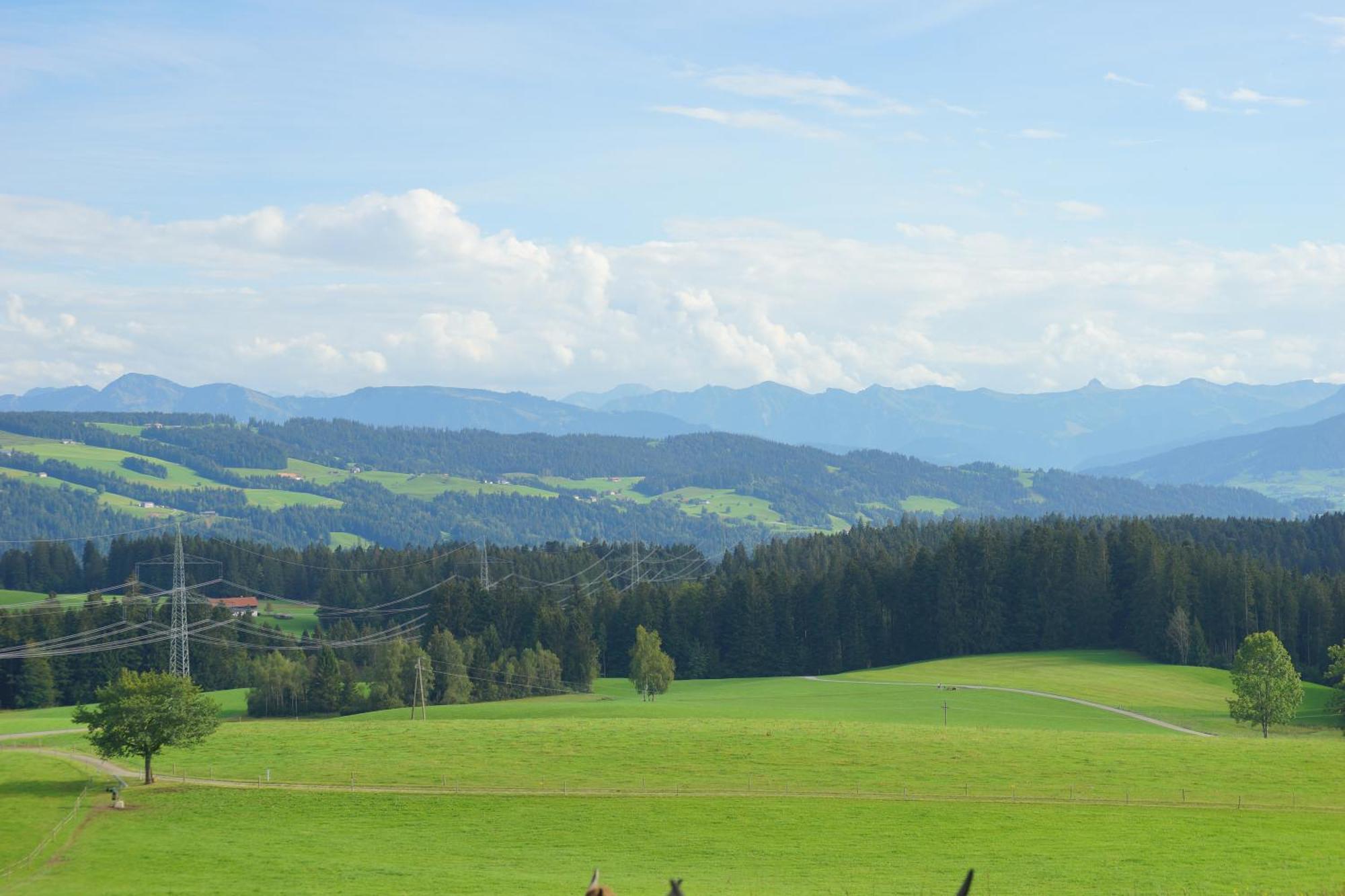 Relax - Blue Mit Pool Und Sauna Scheidegg Buitenkant foto